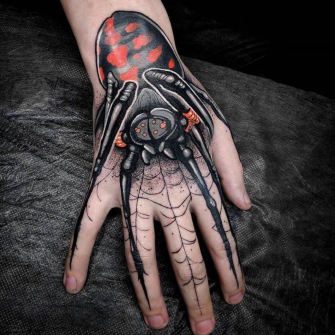Tattoo of a spider on his arm