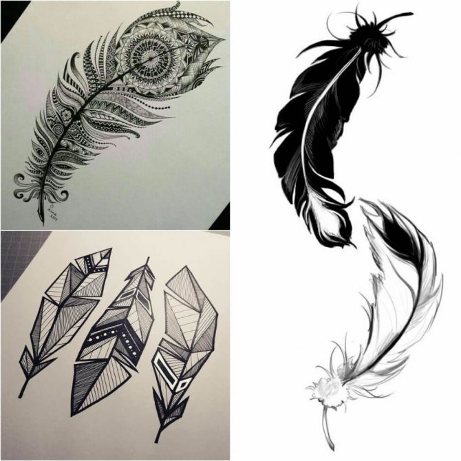 Tattoo Feather - Tattoo Feather - Tattoo Feather - Tattoo Feather sketch