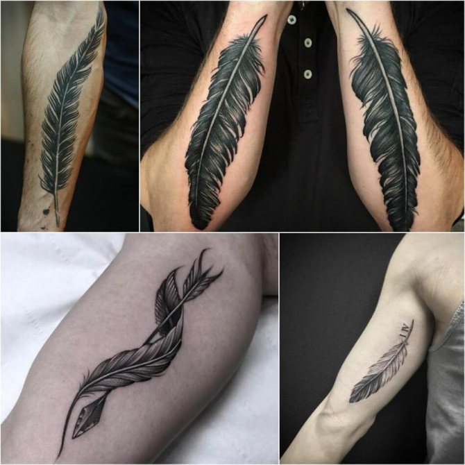 Tattoo Feather - Tattoo Feather - Tattoo Feather - Tattoo Male Feather
