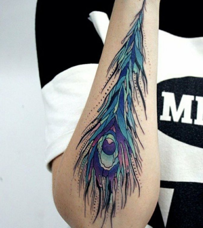 Tatuaggio di una piuma - Tatuaggio di una piuma - Tatuaggio di una piuma di pavone