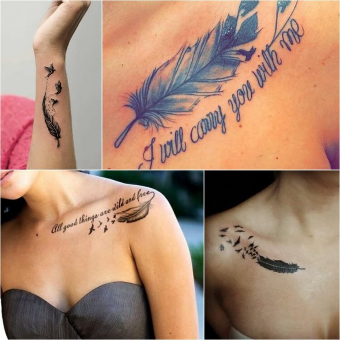 Tattoo of The Feather - Tattoo of The Feather - Tattoo of The Feather - Tattoo of The Feather significato