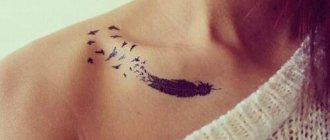 Tattoo feather - meaning in a girl with a word, birds, peacock on the leg, arm, wrist, stomach, neck, back, collarbone, on the side