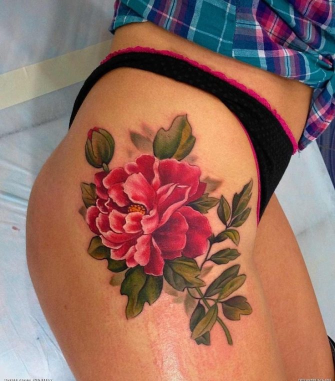 Tattoo pion on women hip