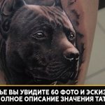 tattoo pit bull meaning