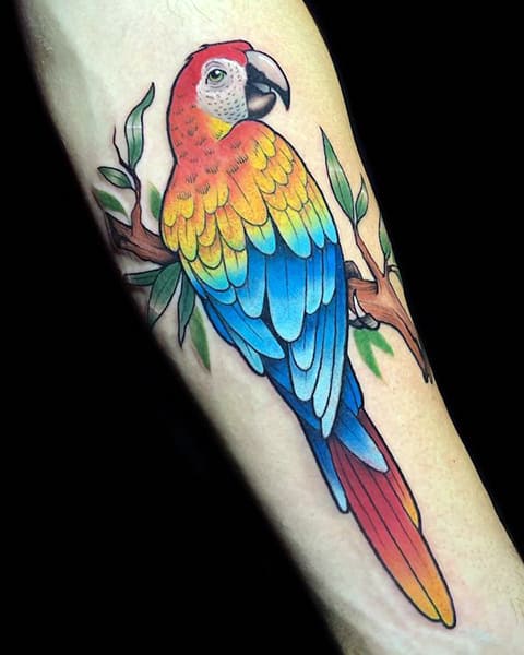 Parrot tattoo on forearm for men