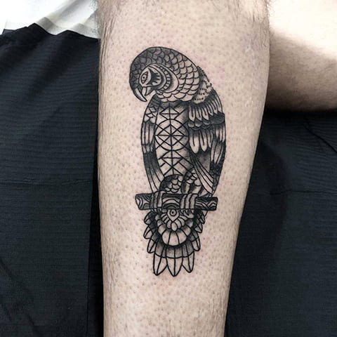 Tattoo of parrot on forearm