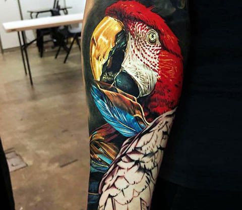 Tattoo of a parrot on his arm