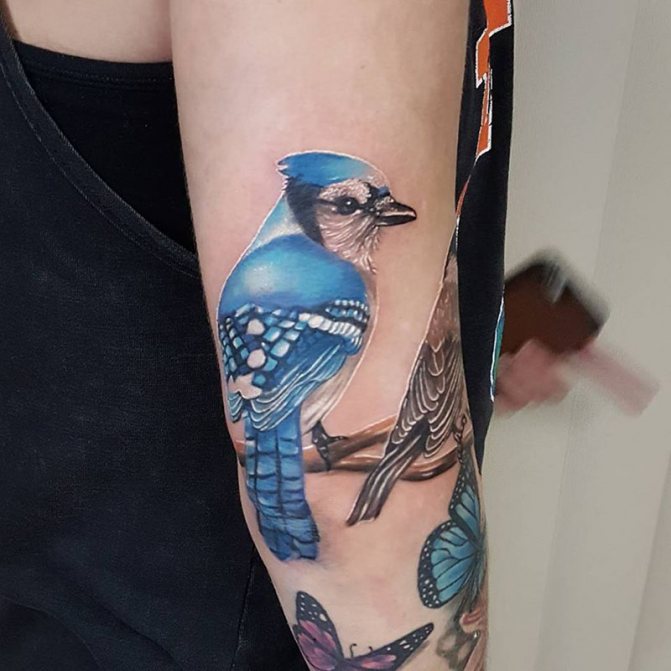 Tattoo Bird - Tattoo of a Bird - Tattoo with a Bird