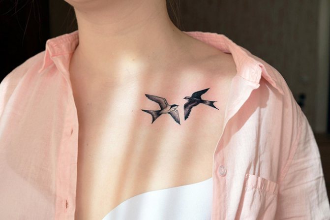 Tattoo birds on the collarbone. Picture, meaning, sketches