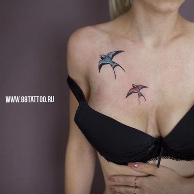 Tattoo of a swallow