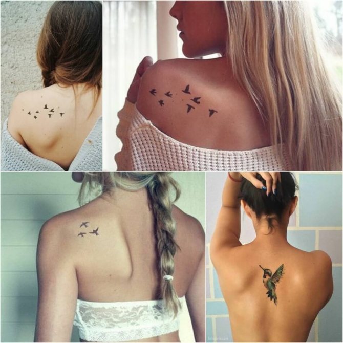 Tattoo birds - Tattoo birds on my back - Bird tattoo on my back