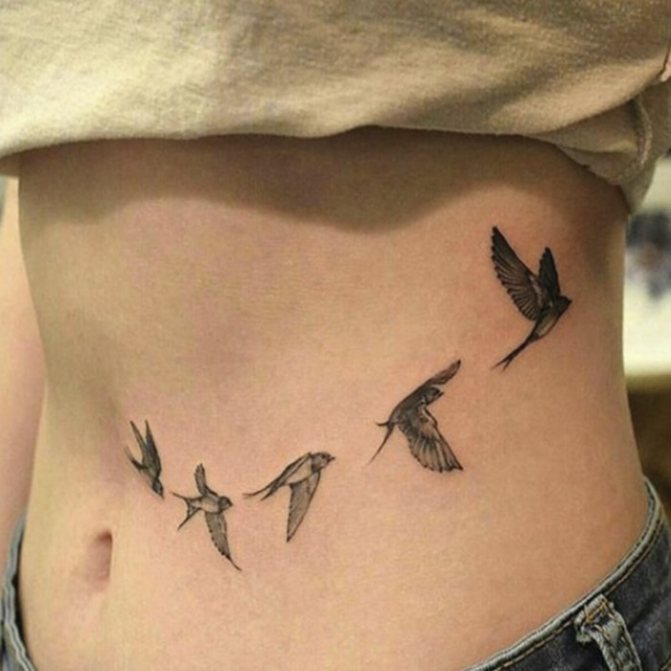 tattoo of a bird meanings swallow