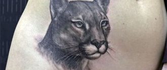 Tattoo of a cougar