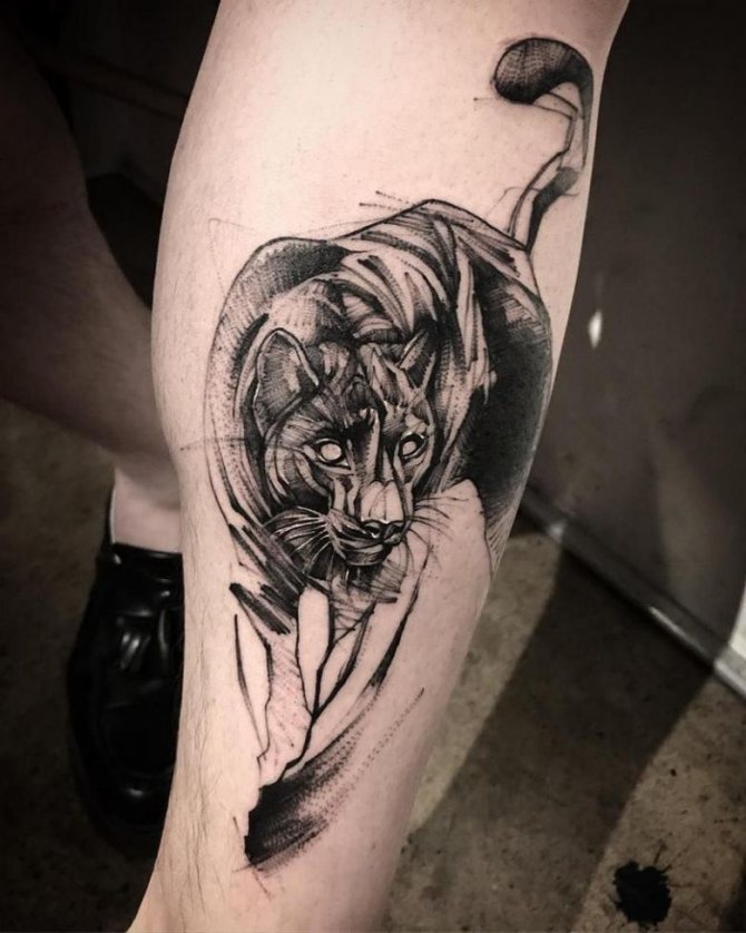 Tattoo of a cougar (84 photos) - sketches and meaning of a tattoo with a cougar on the arm, shoulder, leg