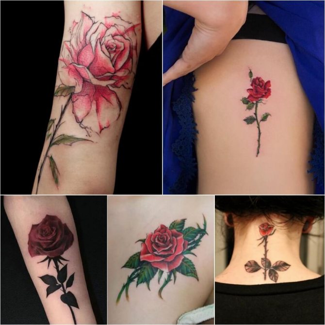 Tattoo Rose - Tattoo Rose Meaning - Tattoo Rose with Spikes - Tattoo Rose with Spikes Meaning