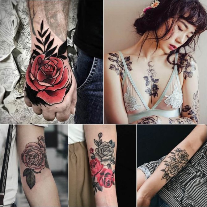 Tattoo Rose - Tattoo Rose