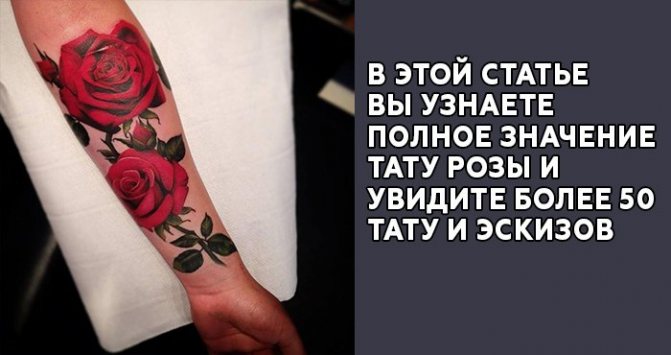 Tattoo meaning of rose