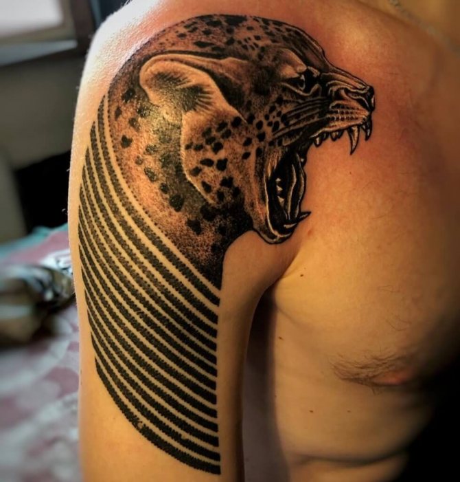 tattoo of the snarling leopard on the shoulder