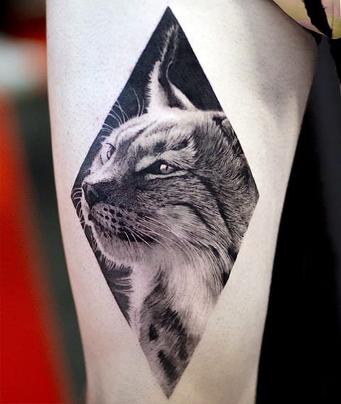 Tattoo lynx - photo