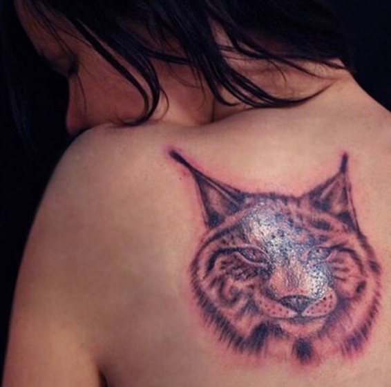 Tattoo of Lynx on his shoulder blade