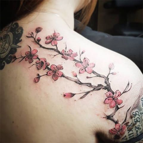Tattoo with cherry blossoms
