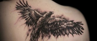 Tattoo with a raven