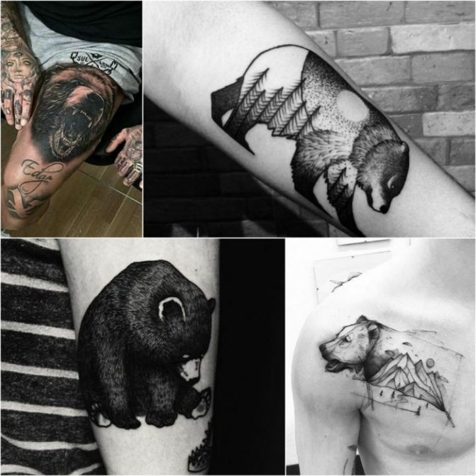 Animal tattoo - Tatu-medved-Muzhskie-tatu-medved-Tatu-dlya-muzhchin-medved
