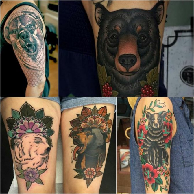 Animal Tattoo - Tatu-medved-Muzhskie-tatu-medved-Tatu-dlya-muzhchin-medved
