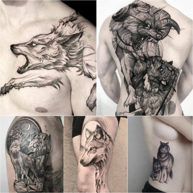Tattoo with animals - Tatu-volk-Tatu-volk-znachenie-Tatu-volk-znachenie-i-eskizyi