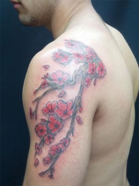 Tattoo of sakura on men - photo