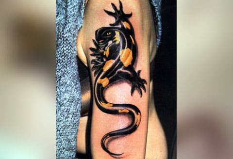Tattoo of salamander