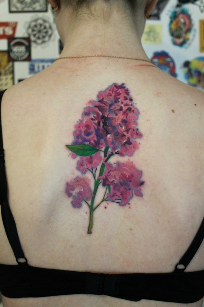 Tattoo lilacs on woman's back