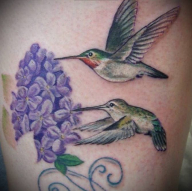Tattoo of a lilac with a hummingbird