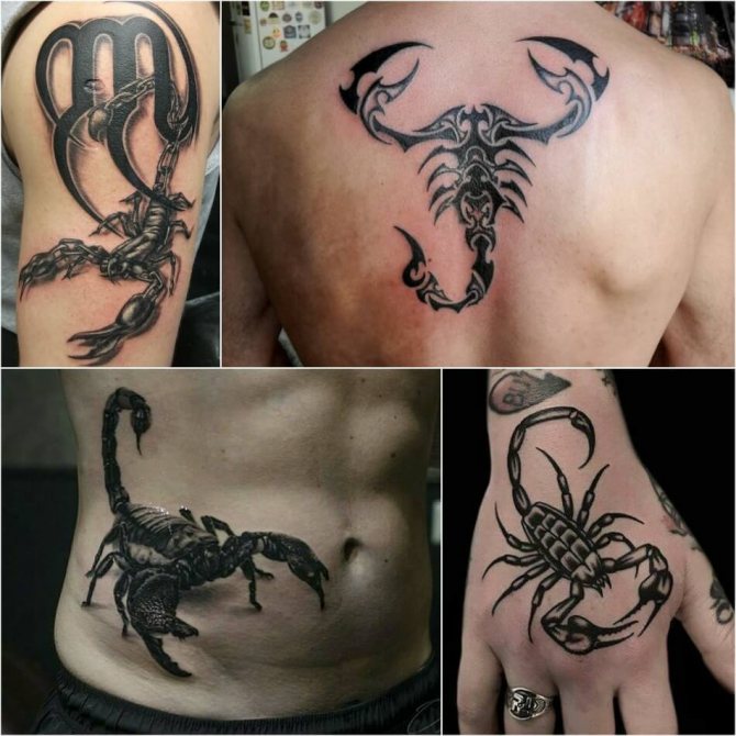 tattoo scorpion - sketches for men scorpion - mens tattoo scorpion - tattoo scorpion for men