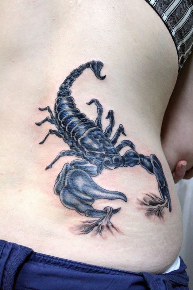 Tattoo scorpion on the side