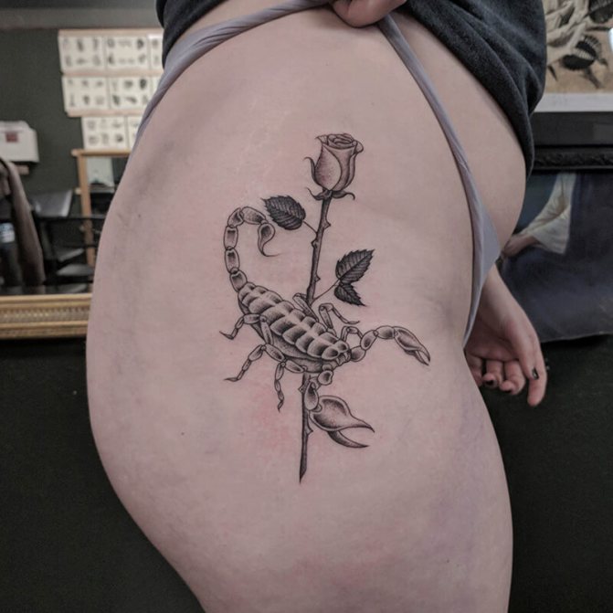 tatuaj scorpion - tatuaj scorpion și trandafir - tatuaj trandafir și scorpion