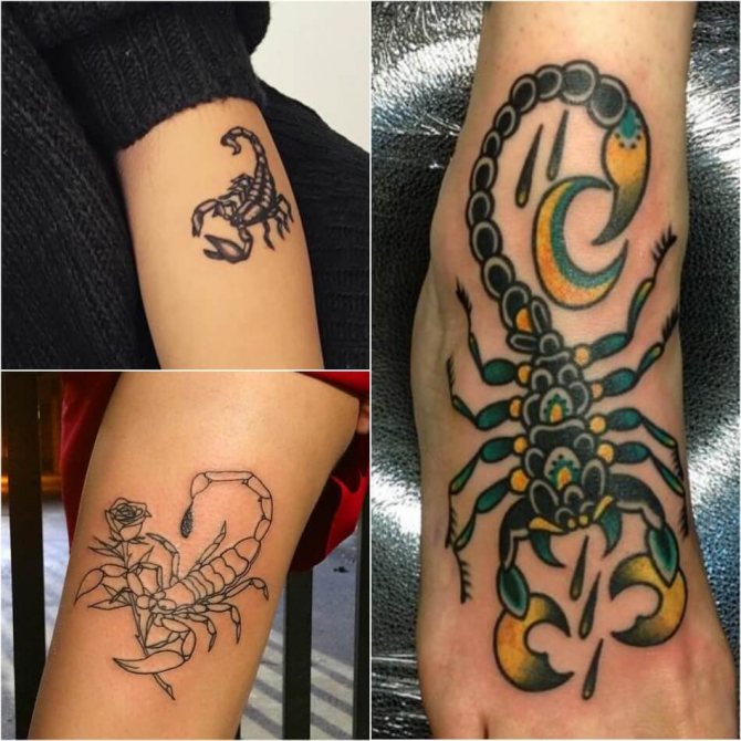 Tattoo scorpion - female tattoo scorpion - tattoo scorpion for girls