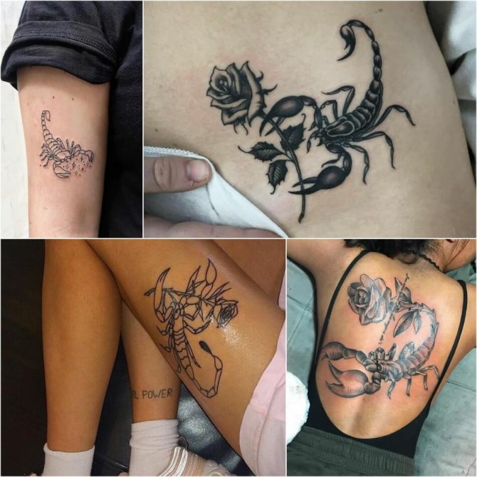 Tattoo scorpion - female tattoo scorpion - tattoo scorpion for girls