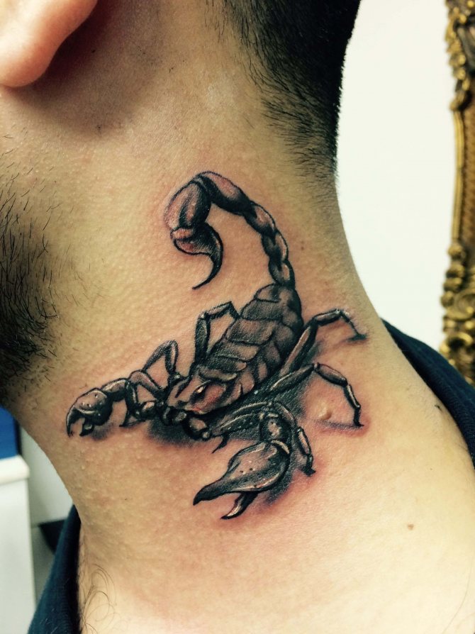 tattoo scorpion