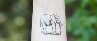 Tattoo elephant meaning in the zone