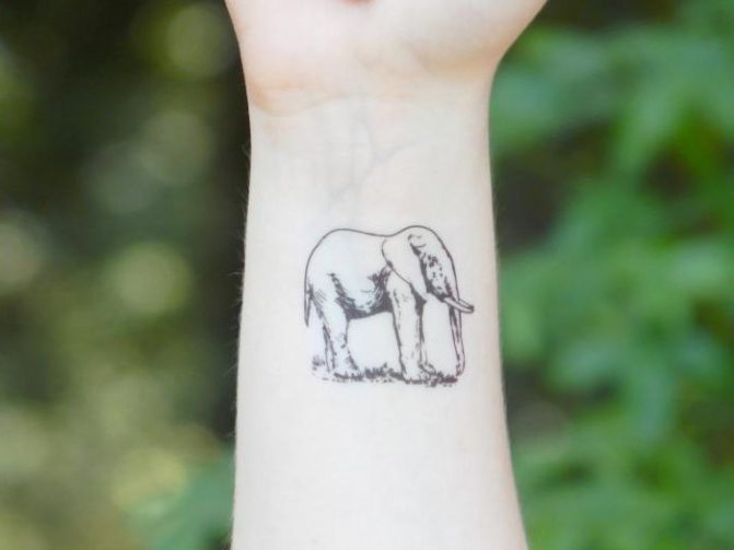 Tatuaj elefant semnificație în închisoare