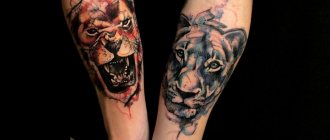 Tattoo with a lion