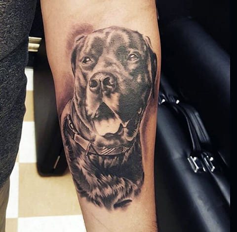 Tattoo a dog on forearm