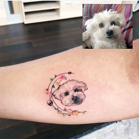 Tattoo dog on hand - photo