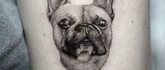 Tattoo dog