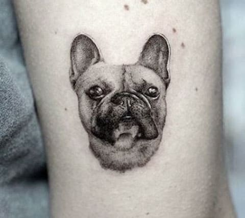 Tattoo a dog