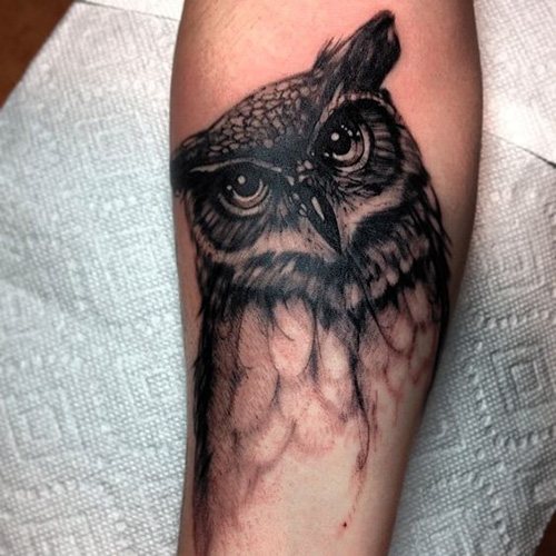 Tattoo of an owl on the arm for girls. Photos, meaning, designs