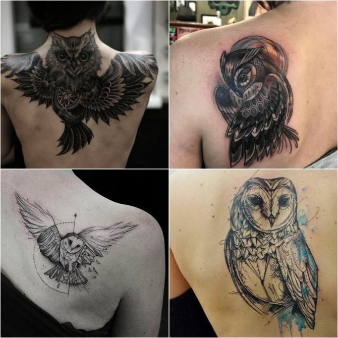 Tatuaj de Bufniță - Semnificație și schițe de tatuaj de Bufniță