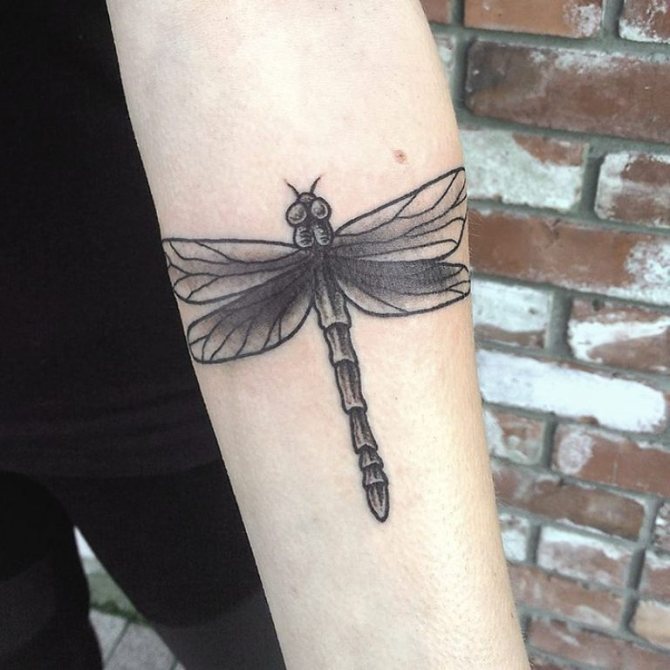 Tattoo dragonfly for a guy