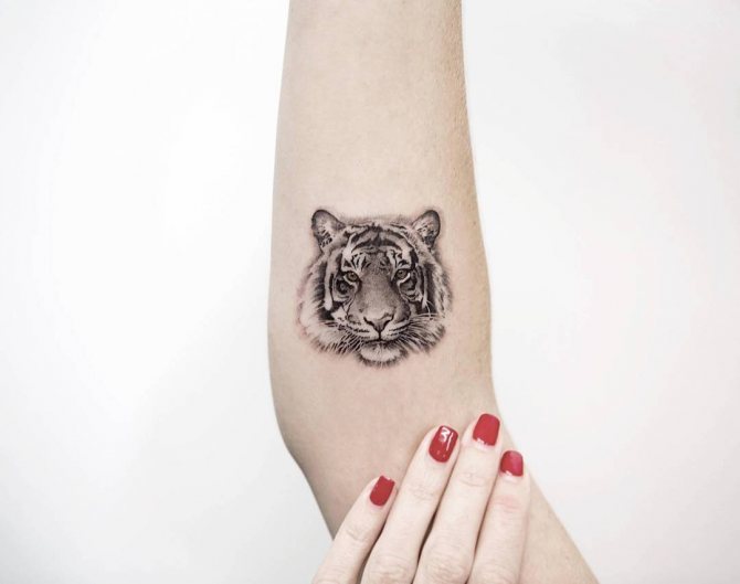 tattoo of a tiger on his arm